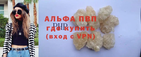 стаф Ладушкин
