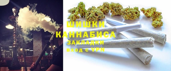 стафф Братск